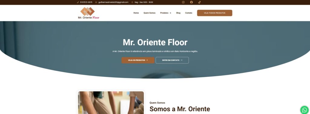 Criação do Site Mr Oriente Floor - Agência Digital HGX Criação de Sites e Marketing Digital